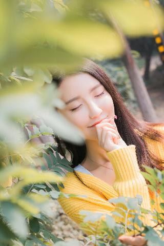 最好看免费中文在线看电视剧网站