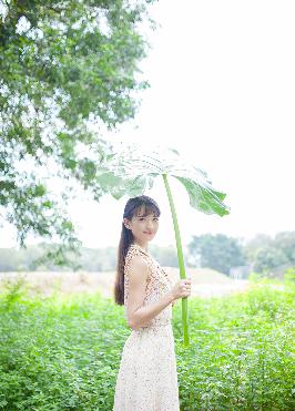 成全影视大全在线播放	139