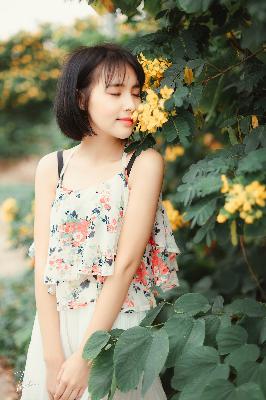 大地影院高清MV在线观看