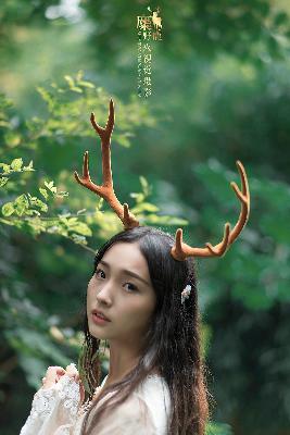 中文在线字幕免费观看电视剧0087