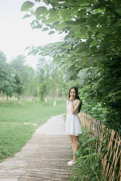 2019中文在线观看免费高清第三季预告