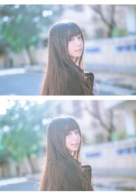 樱花琥珀电视剧免费观看