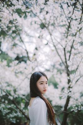 大地中文在线观看免费高清