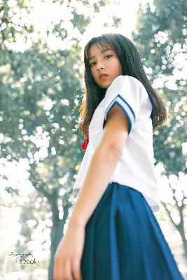 樱花琥珀电视剧免费观看