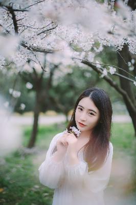 三年在线观看免费观看