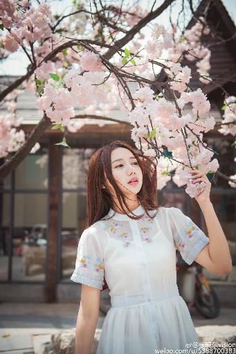 最新电影免费观看2025