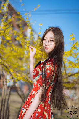 最近电视剧排名最火的前十位