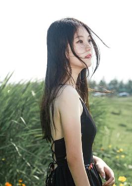 三人成全免费观看电视剧高清