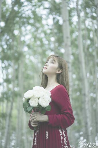 三年级在线观看免费大全动漫