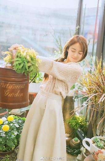 中文在线电视剧大全最新