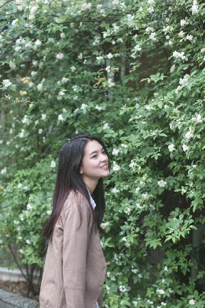 小草影视电视剧免费的