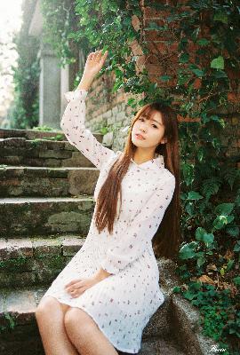 中文字幕免费高清电视剧网大全