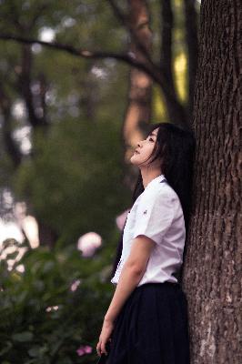 午夜星空免费观看全部电视剧最新